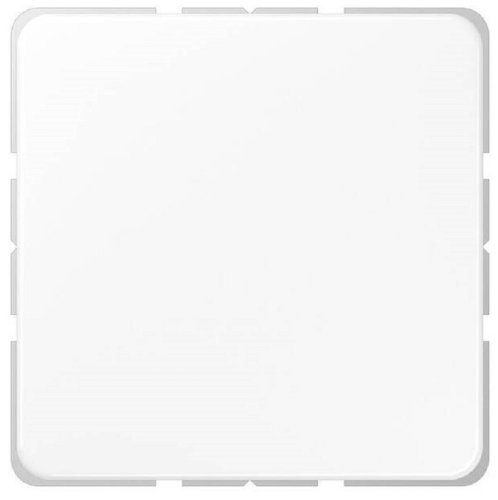 Заглушка без рамки Jung CD500 белый фото Заглушка без рамки Jung CD500 белый картинка